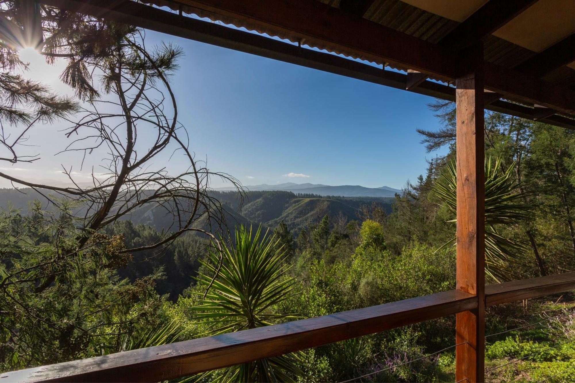 Forest Valley Cottages Knysna Exterior photo